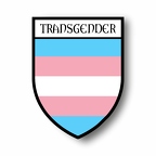r6380 transgender