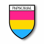 r6382 pansexual