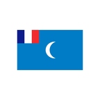 R6446 french syria