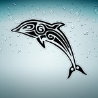 r4588 dauphin tribal vague n