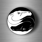 r4572 yin yang cheval B