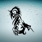 r4556 dragon œil rouge n T