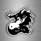 r4558 dragon yin yang nb B