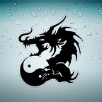 r4559 dragon yin yang n T