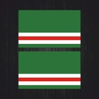 r4569 Set 2x flag chechen republic B