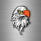 r4571 eagle head B