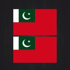 r4450 Set 2x naval pakistan rouge B