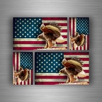r4318 set 4sticker usa old eagle B