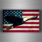 r4319 aigle vol usa old B