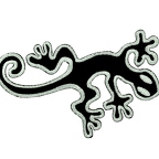 B80 - gecko noir gris