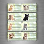 r3860 8x etiq cahier chat B