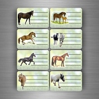 r3861 8x etiq cahier cheval B