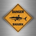 r3855 danger shark B 2