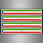 r3931 4x brassard guinee equatorial B