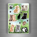 r3858 Planche 10 chats B