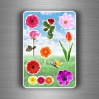 r3861 Planche 10 fleurs B