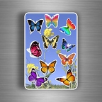 r3864 Plache 10 papillons B