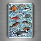 r3866 Planche 10 poissons B