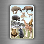 r3869 Planche 10 ani savane B