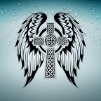 r3693 croix celtique ailes n T
