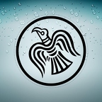 r3659 raven rond n T