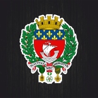 r3588 blason paris B
