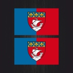 r3589 2x drapeau paris blason B