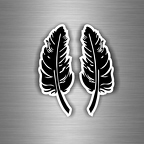 r3556 plumes nb B