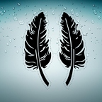 r3557 plumes n T