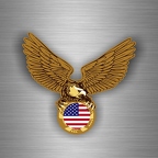r3581 aigle usa cercle B