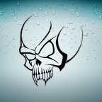 r3575 skull tonton n T