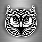 r3499 hiboux yeux nb B