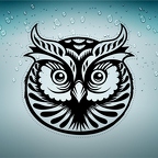 r3500 hiboux yeux n T