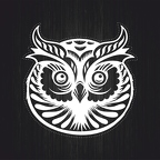 r3501 hiboux yeux blc T