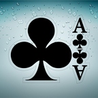 r3504 as treffle n T