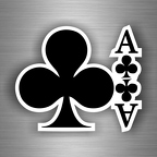 r3503 as treffle nb B