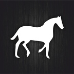 r3516 cheval blanc B