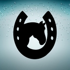 r3527 fer tete cheval n B