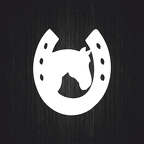 r3528 fer tete cheval blanc B