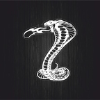 r3433 cobra feu blc T