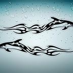 r3441 2x dauphin tribal n T