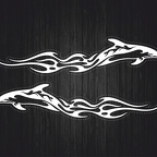 r3442 2x dauphin tribal blc T