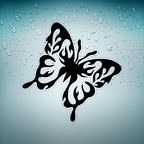 r3444 papillon tribal n T