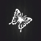 r3445 papillon tribal blc T