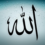 r4641 A4 allah n T