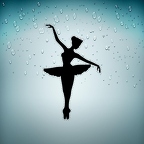 r3337 ballerine n T