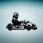 r3343 karting n T