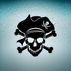 r3370 pirate chapeau pirate n T