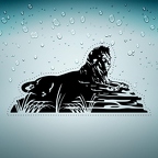 r3391 lion jungle n T