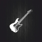 r3429 guitare elec blc T